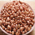 Round Type Peanut Kernel Pink Color